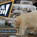 Wait . . . I Thought the Zoo Was Free