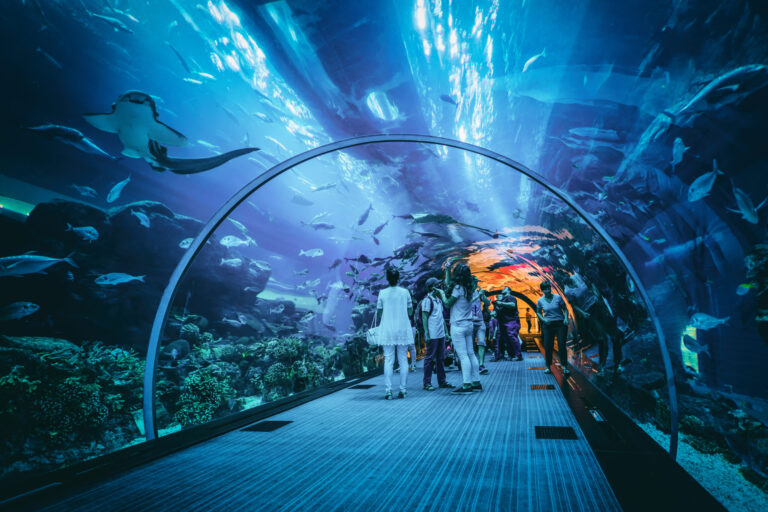 Aquarium
